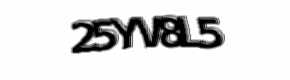 Security check image, please type the characters shown